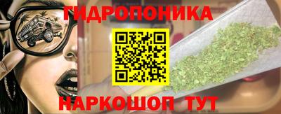 эйфоретик Гатчина
