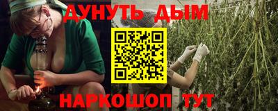 не бодяженный Гай