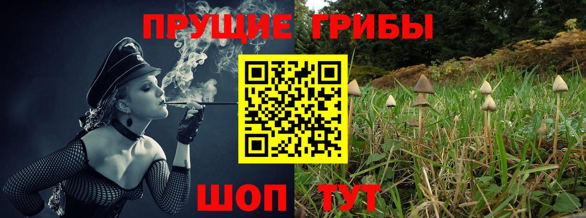 Псилоцибиновые грибы Psilocybine cubensis  где можно купить   Вход с VPN  Мурино  Галлюциногенные грибы мицелий 